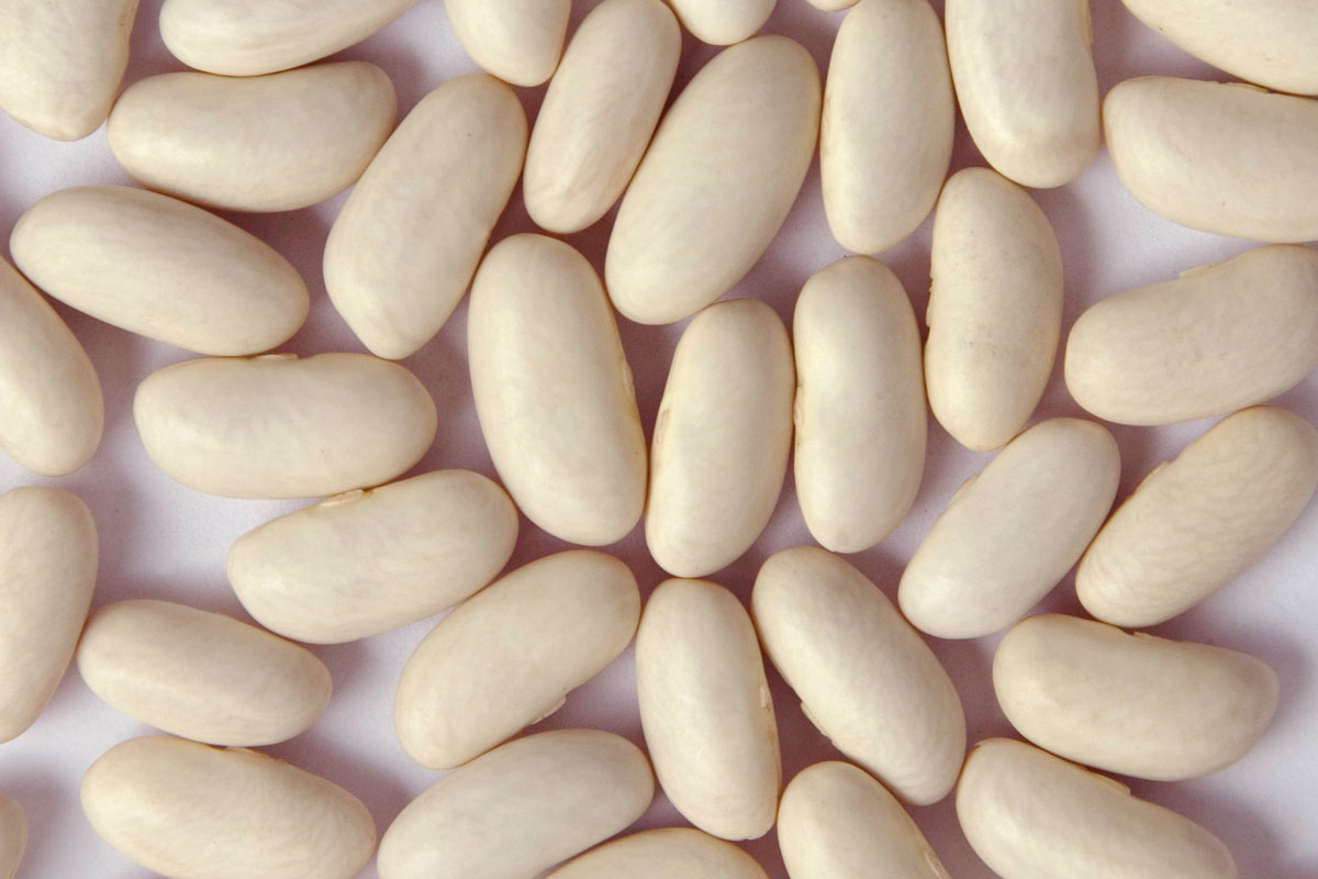 Zursun Heirloom Dry Cannellini Beans, 1.5LB